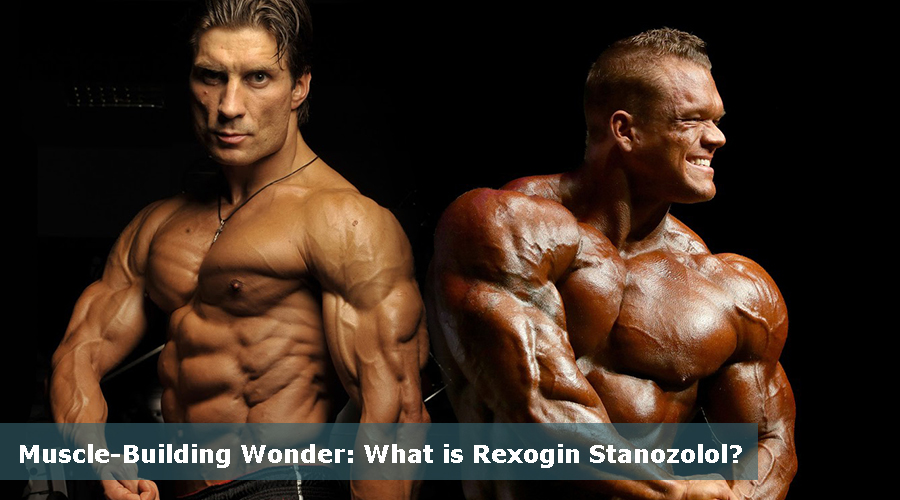 rexogin stanozolol injection benefits